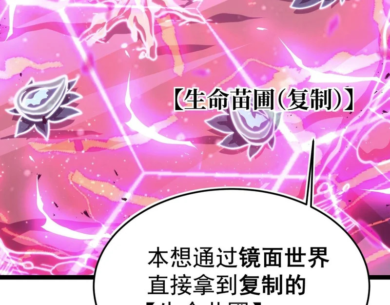 平反 第13页