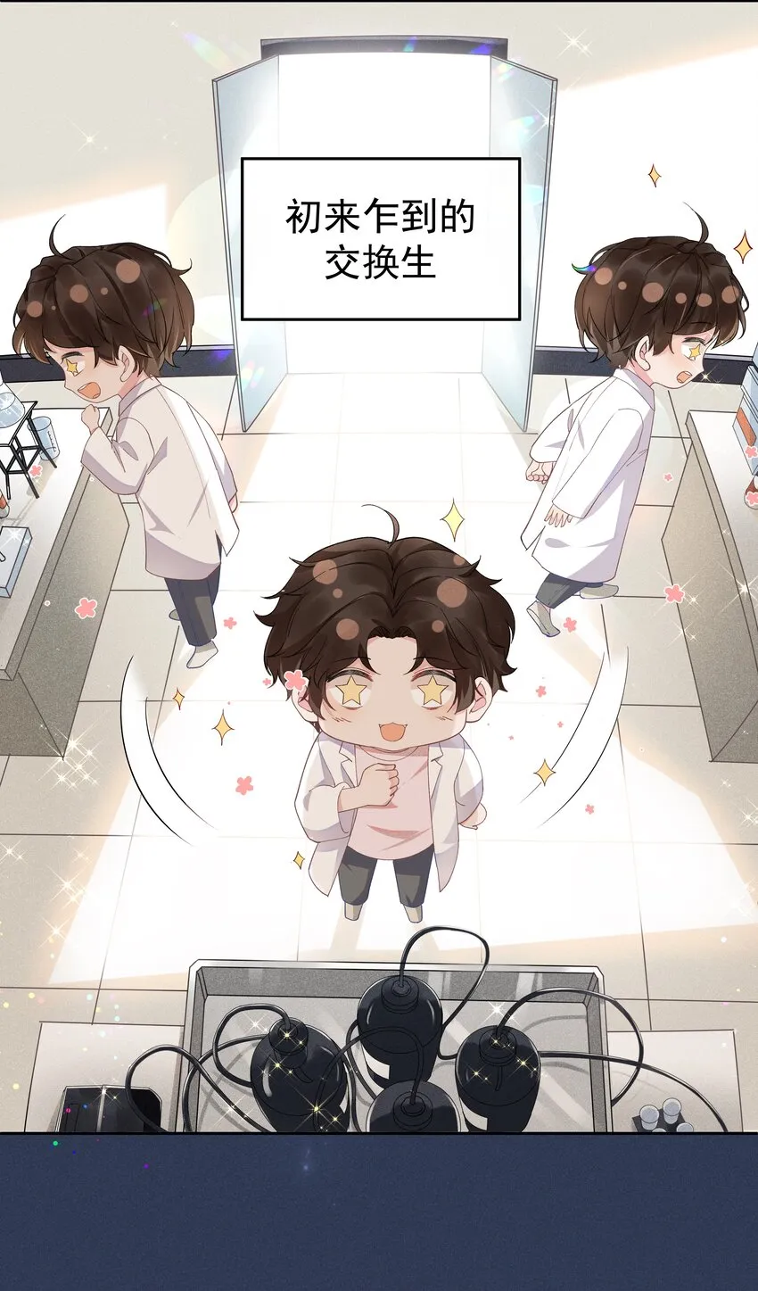 006 第一印象 第15页