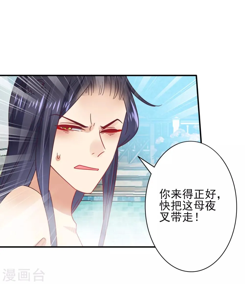 第25话 这个女人，我要定了！ 第14页