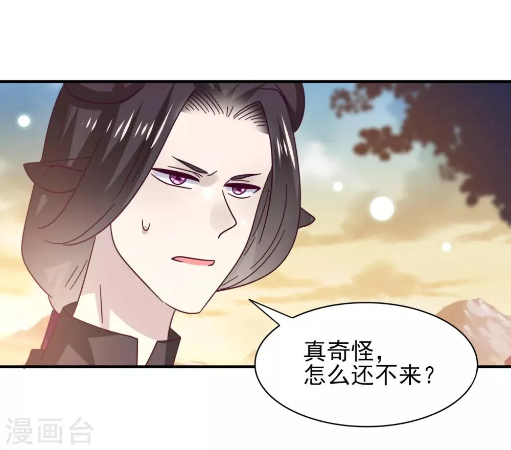 第44话 小狼狼和猫骑士之间的火药味 第11页