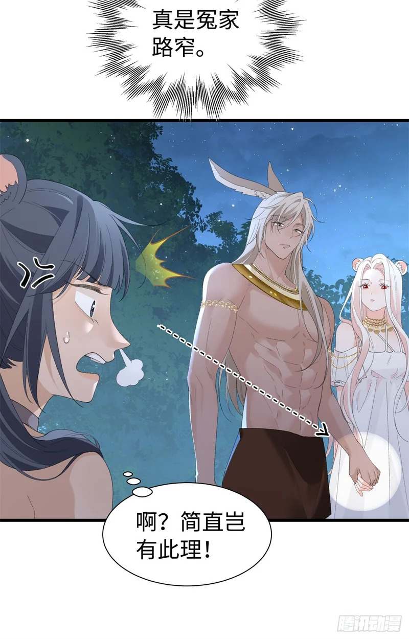 第35话 假祖鲁 第18页