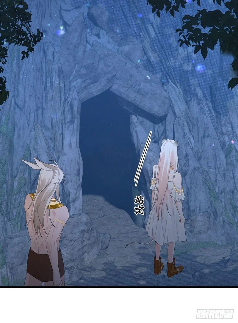 第36话 豹族朋友？ 第12页
