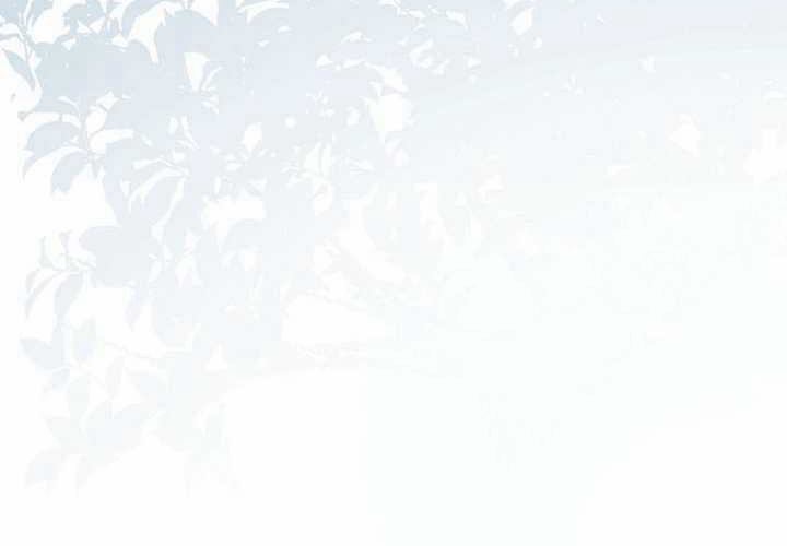 第15话 第14页