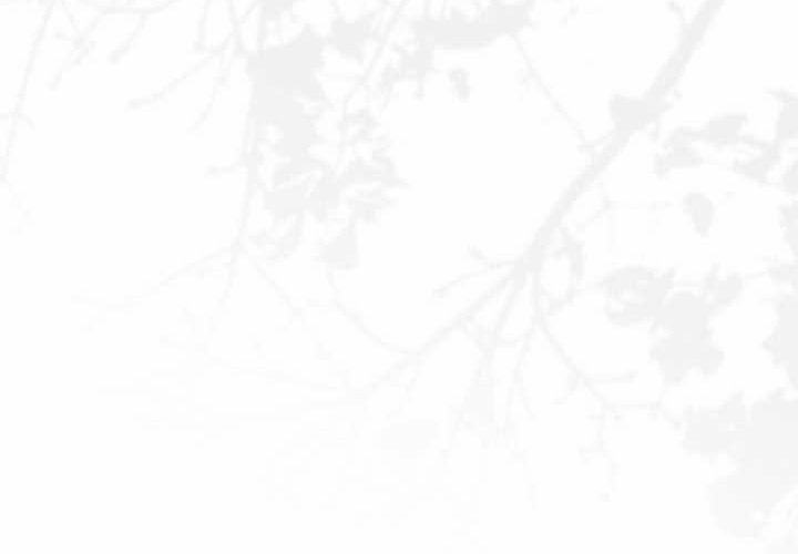 第19话 第195页