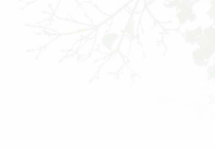 第24话 第224页