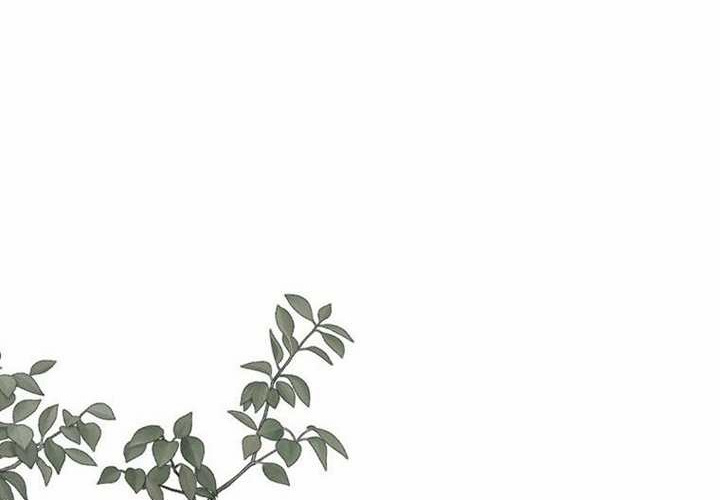 第24话 第225页