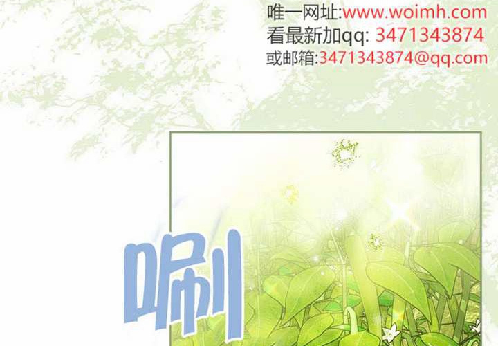 第27话 第254页