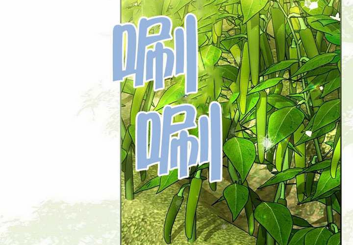 第27话 第255页