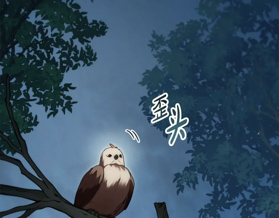 第16话 跌入怀中 第173页