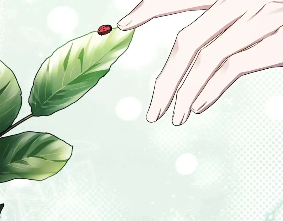 第30话 护卫陪练 第217页