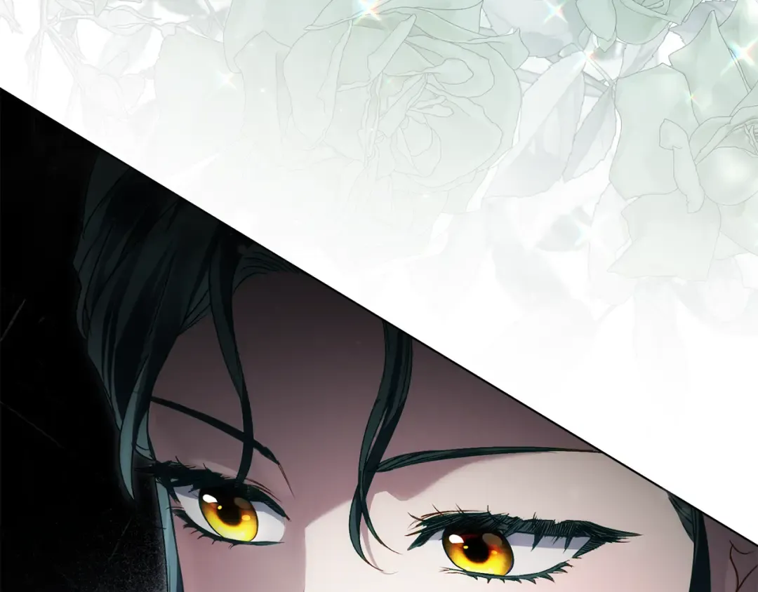 第54话 亲爱的哥哥 第239页