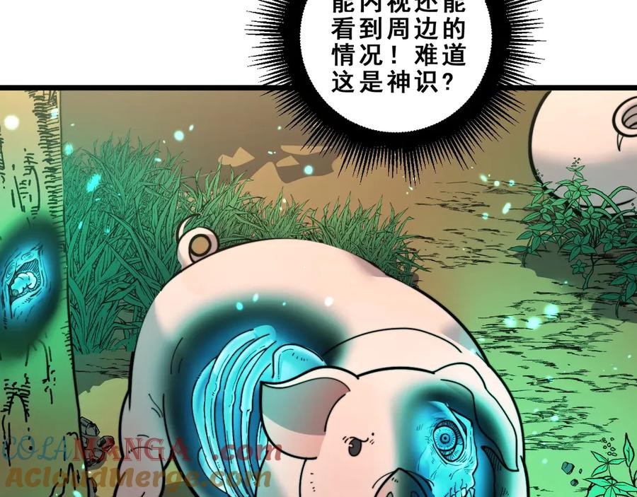 第2回 吐气吞纳神识开 第37页