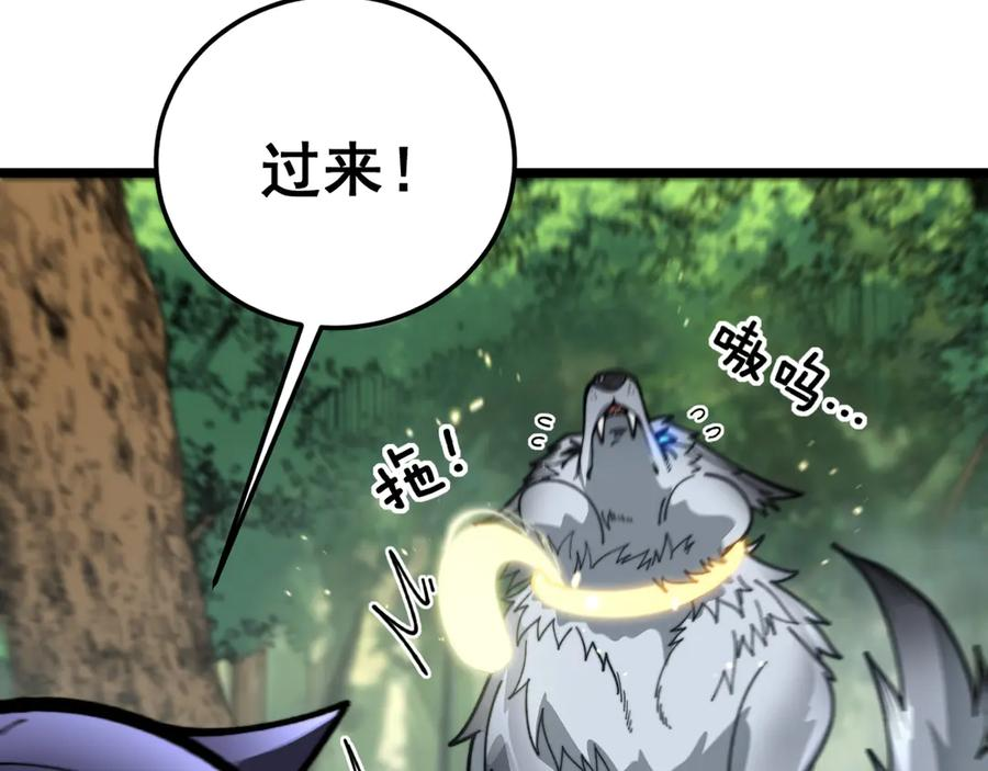 第11回 驯兽圈驯服狼王 第24页