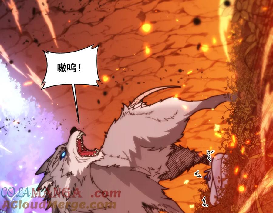 第17回 老狗又出馊主意 第5页