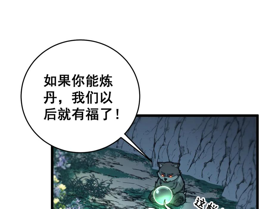 第29回 测灵根天赋初显 第12页
