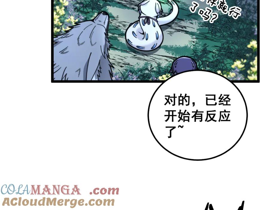 第29回 测灵根天赋初显 第13页