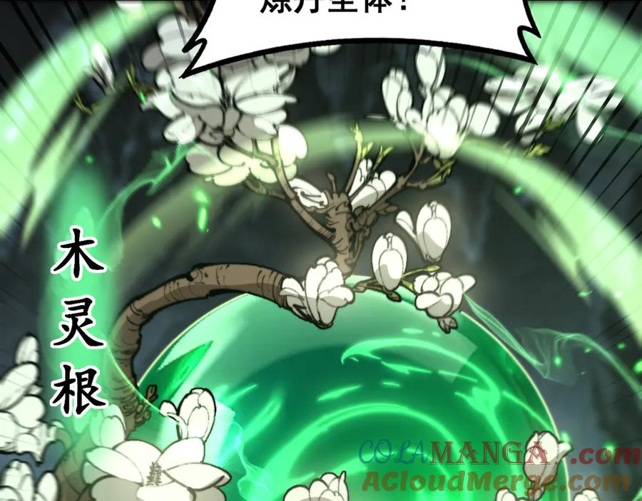 第29回 测灵根天赋初显 第17页
