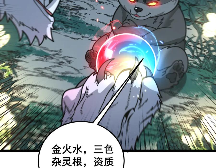 第29回 测灵根天赋初显 第47页