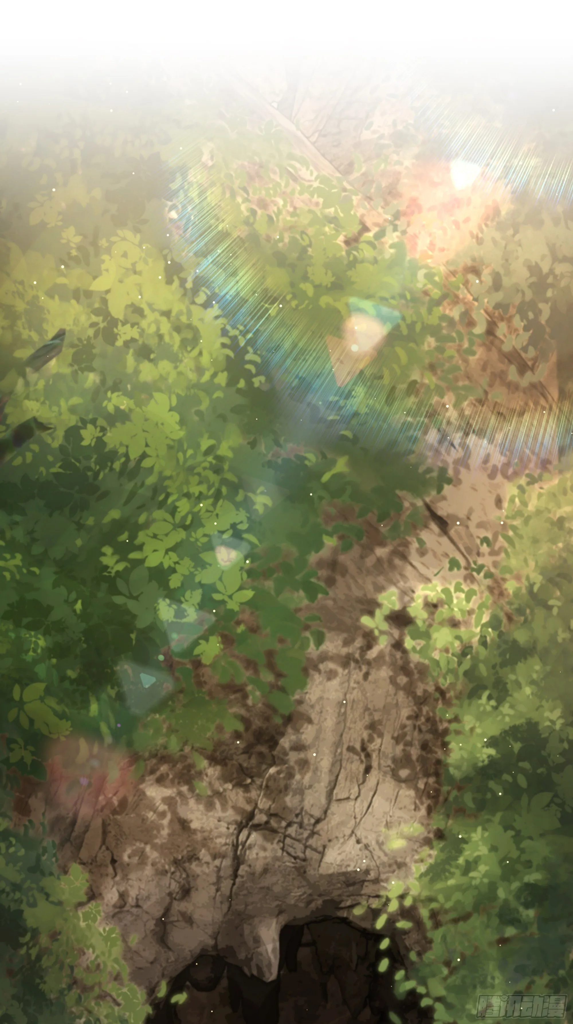 15 第29页