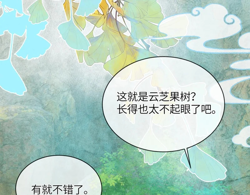 第15话 云芝果 第29页