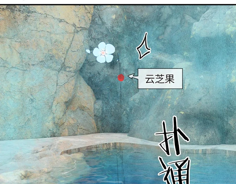 第15话 云芝果 第47页