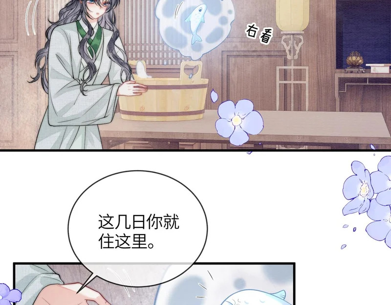 第24话 对不起 第41页