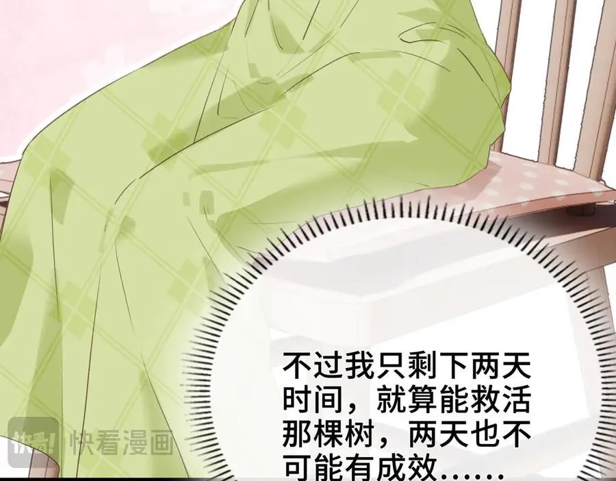 第13话 他的过往 第40页