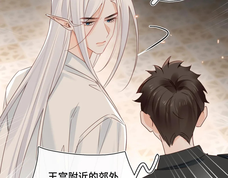 第47话 陷阱 第66页