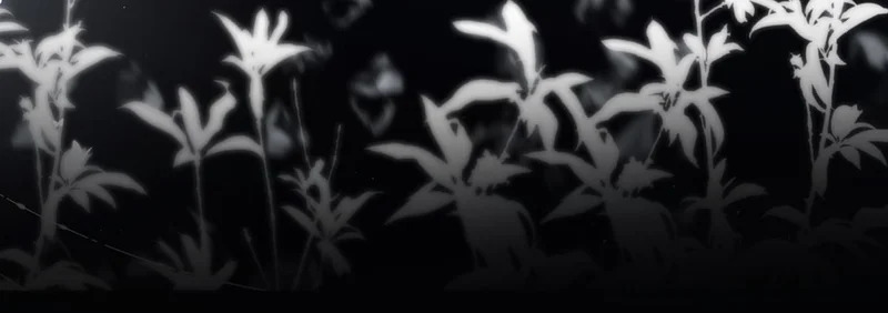 番外 让我心动的方法 第39页