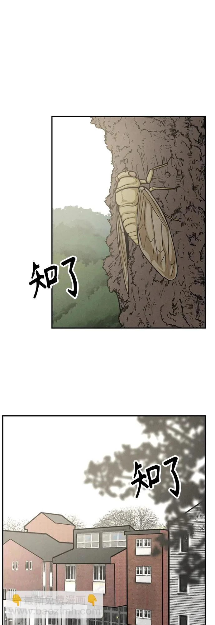 第38话 第39页