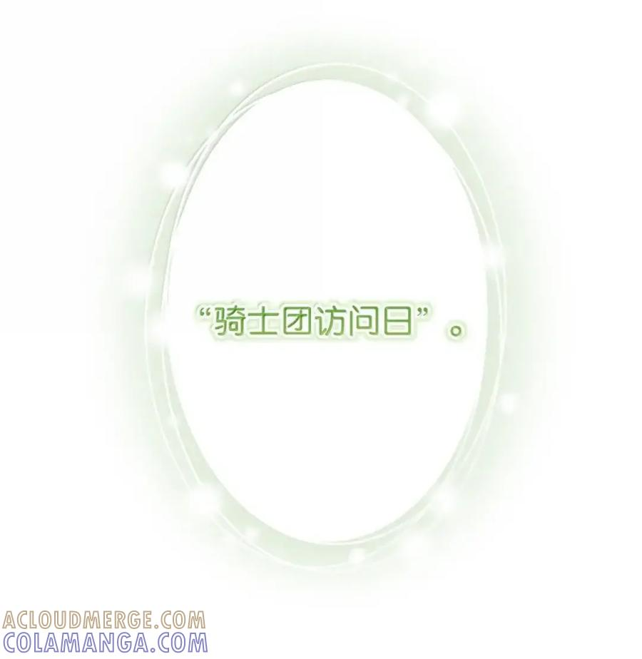 35 骑士团访问日 第25页