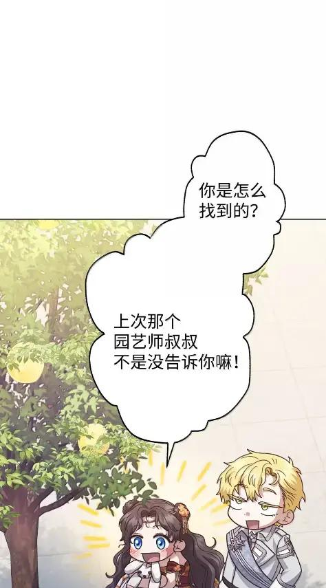 41 生日礼物 第20页