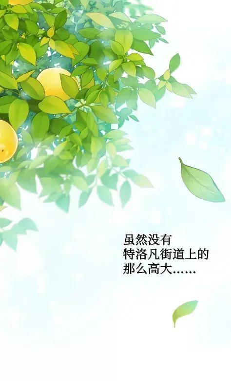 41 生日礼物 第26页