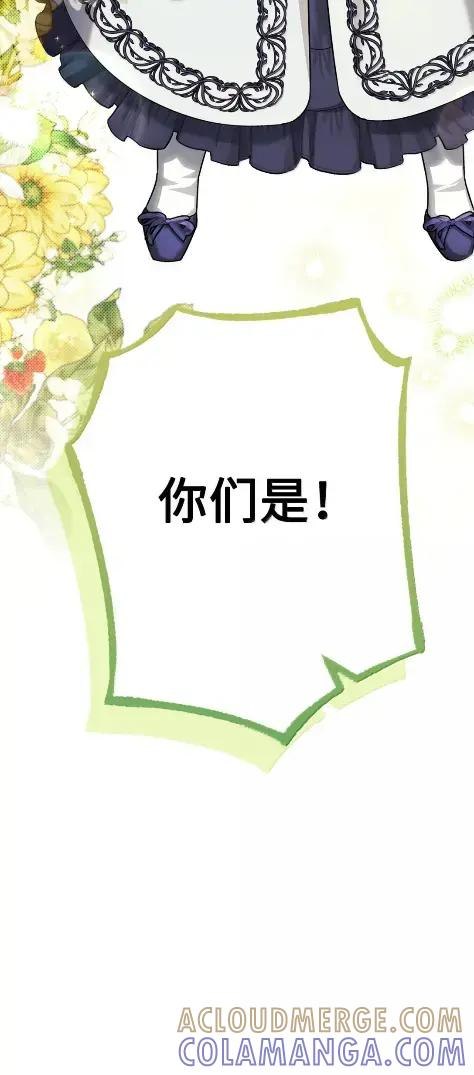 41 生日礼物 第101页