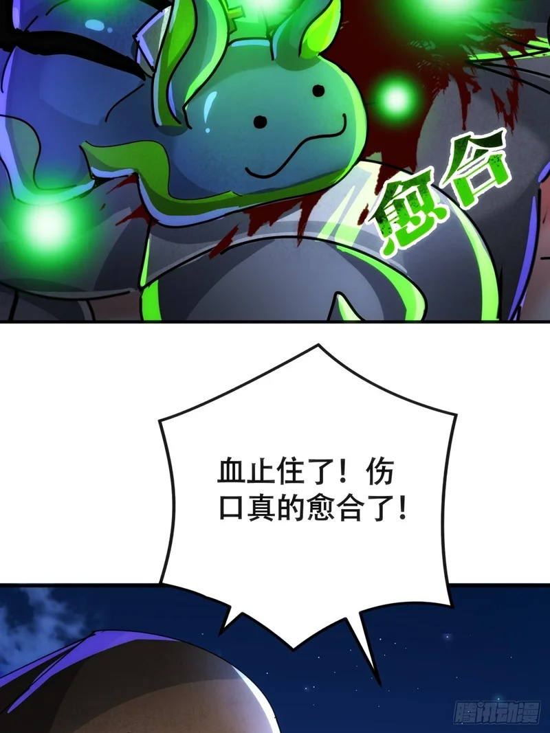 假货 第24页