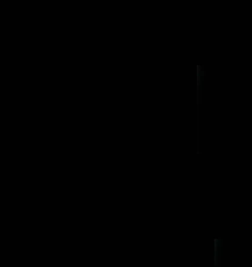 021 我一直对你们好 第84页