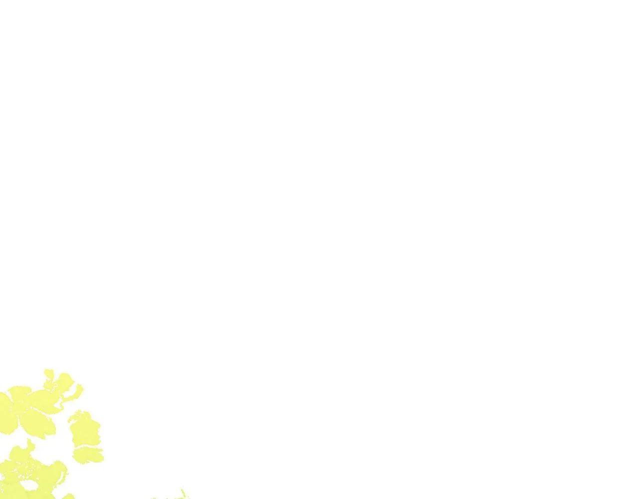 第24话 神秘的嘉宾 第24页