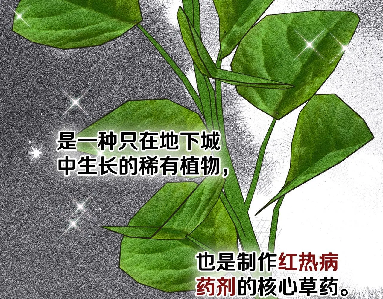 第29话 神秘大祭司 第17页
