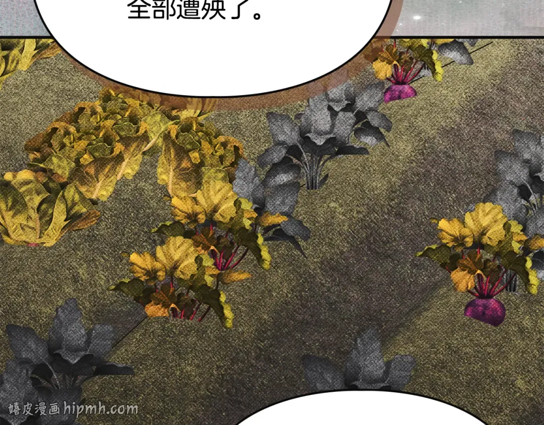 第40话 家乡守护者 第80页