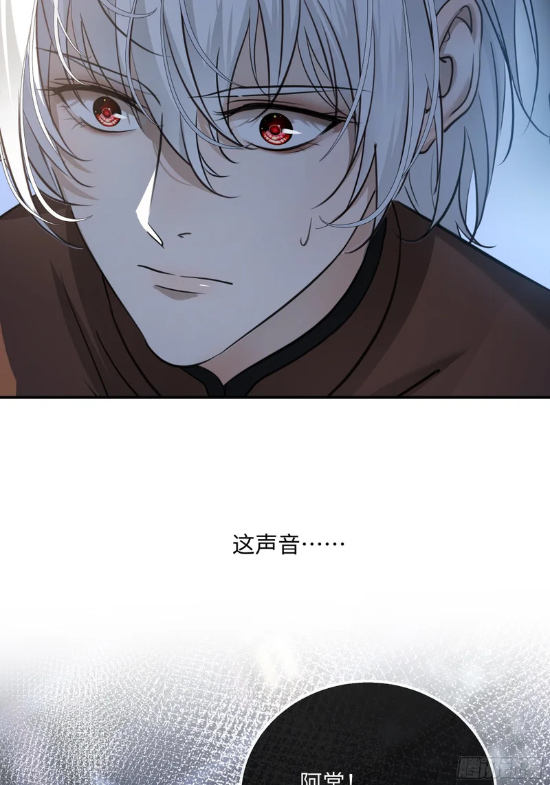 026手心的温度，舌尖的苦味 第49页