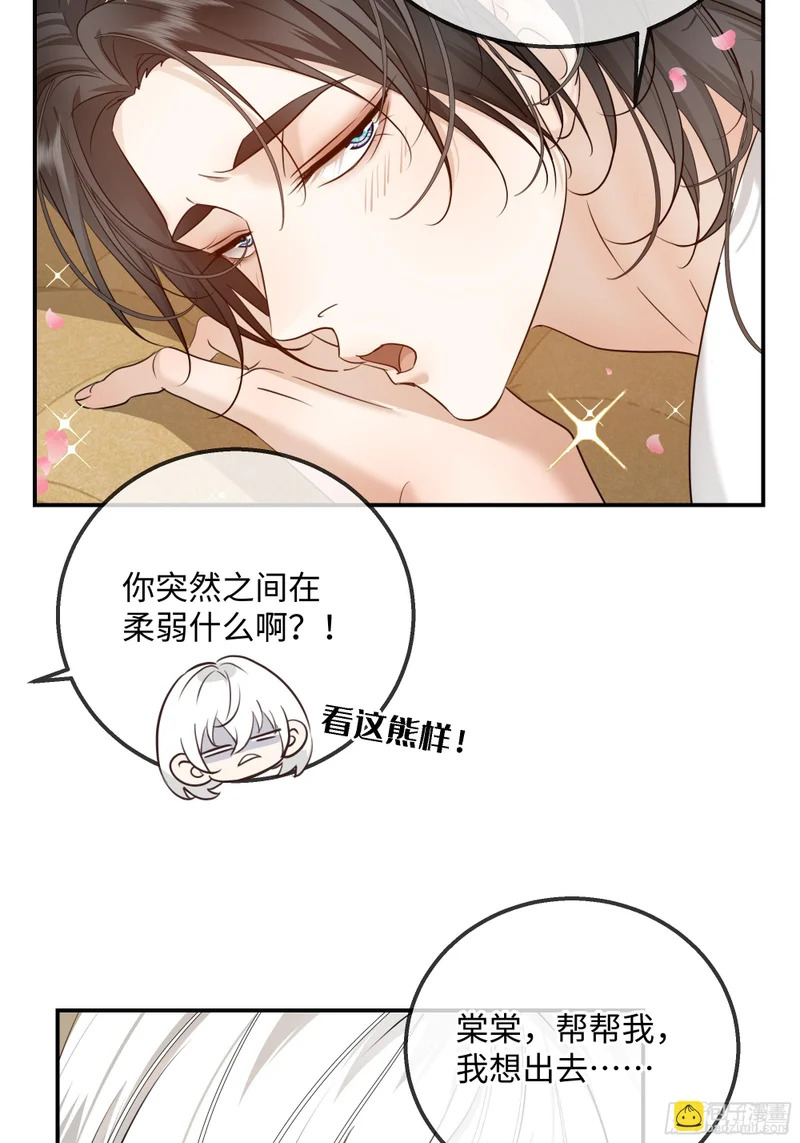 番外-生日快乐！叶棠！ 第14页
