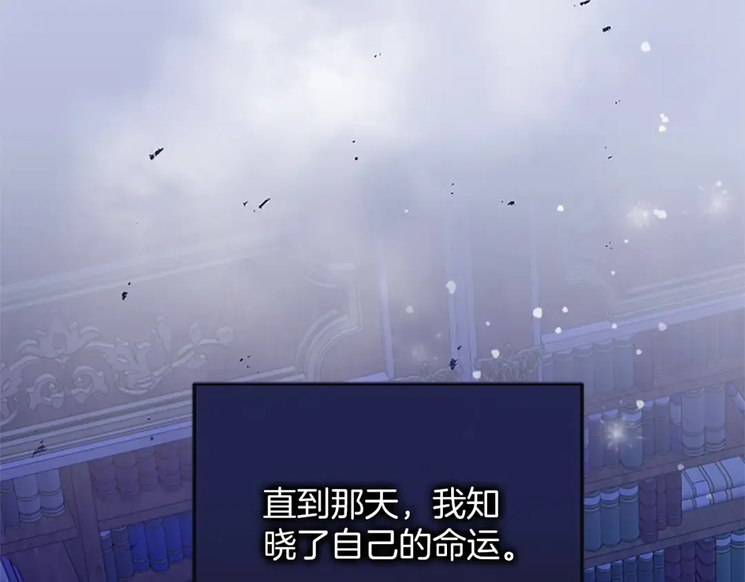 第五话 亲爱的未婚妻 第252页
