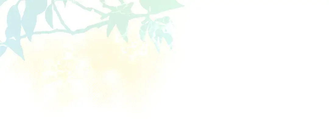 第13话 不喜欢 第64页