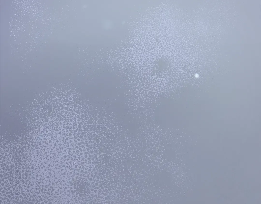 第33话 你的真心话 第125页