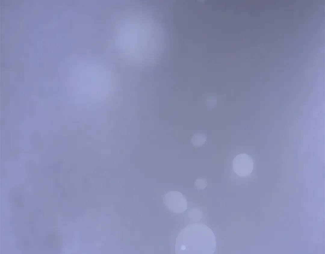 第33话 你的真心话 第241页