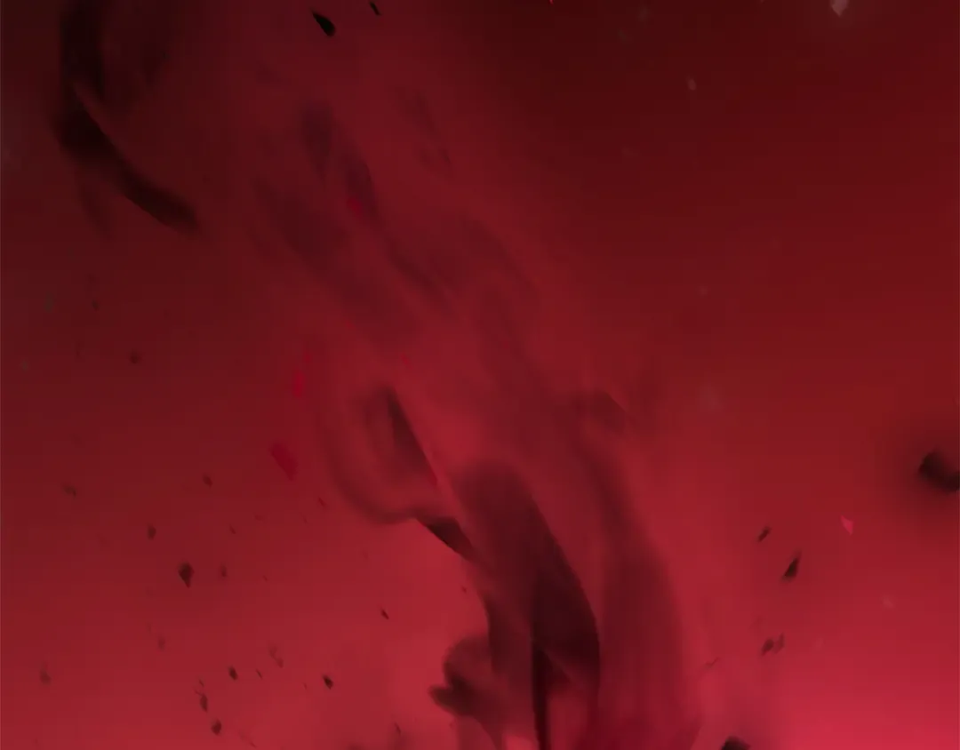 第58话 心魔 第226页