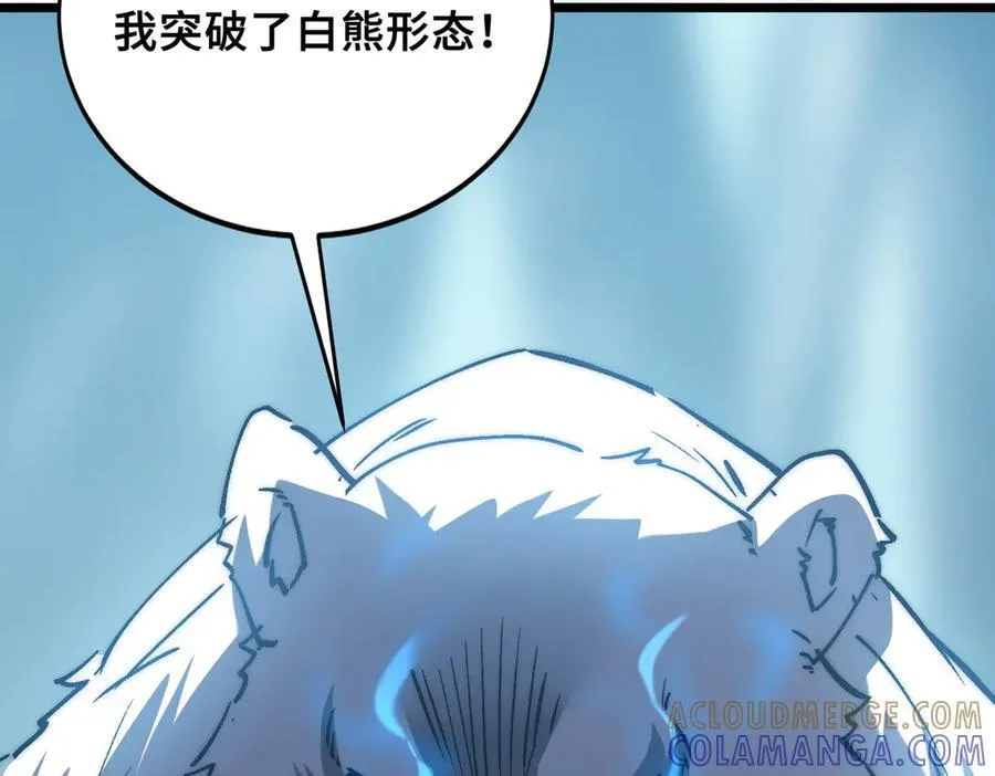 第23话 神秘白熊 第13页