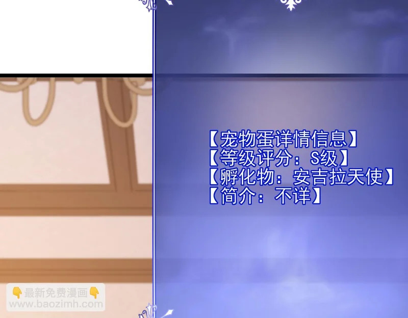 第51话 s级宠物蛋 第44页
