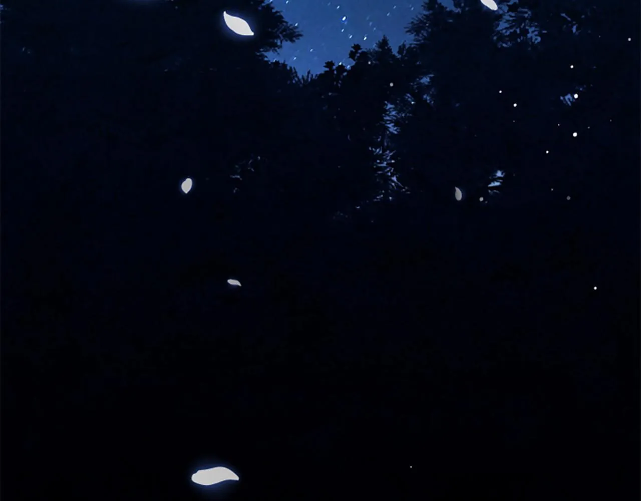 第13话 月圆之夜 第69页