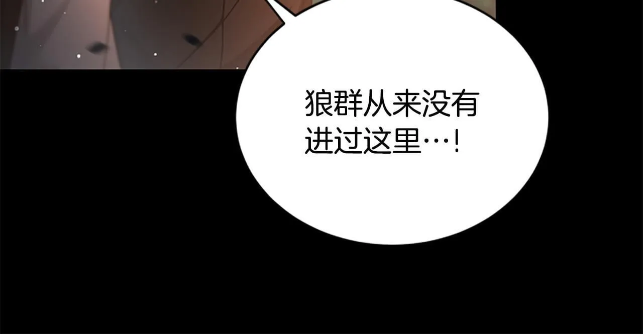 第14话 恶狼与少年 第30页